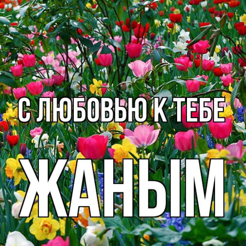 Картинка С любовью к тебе, Жаным