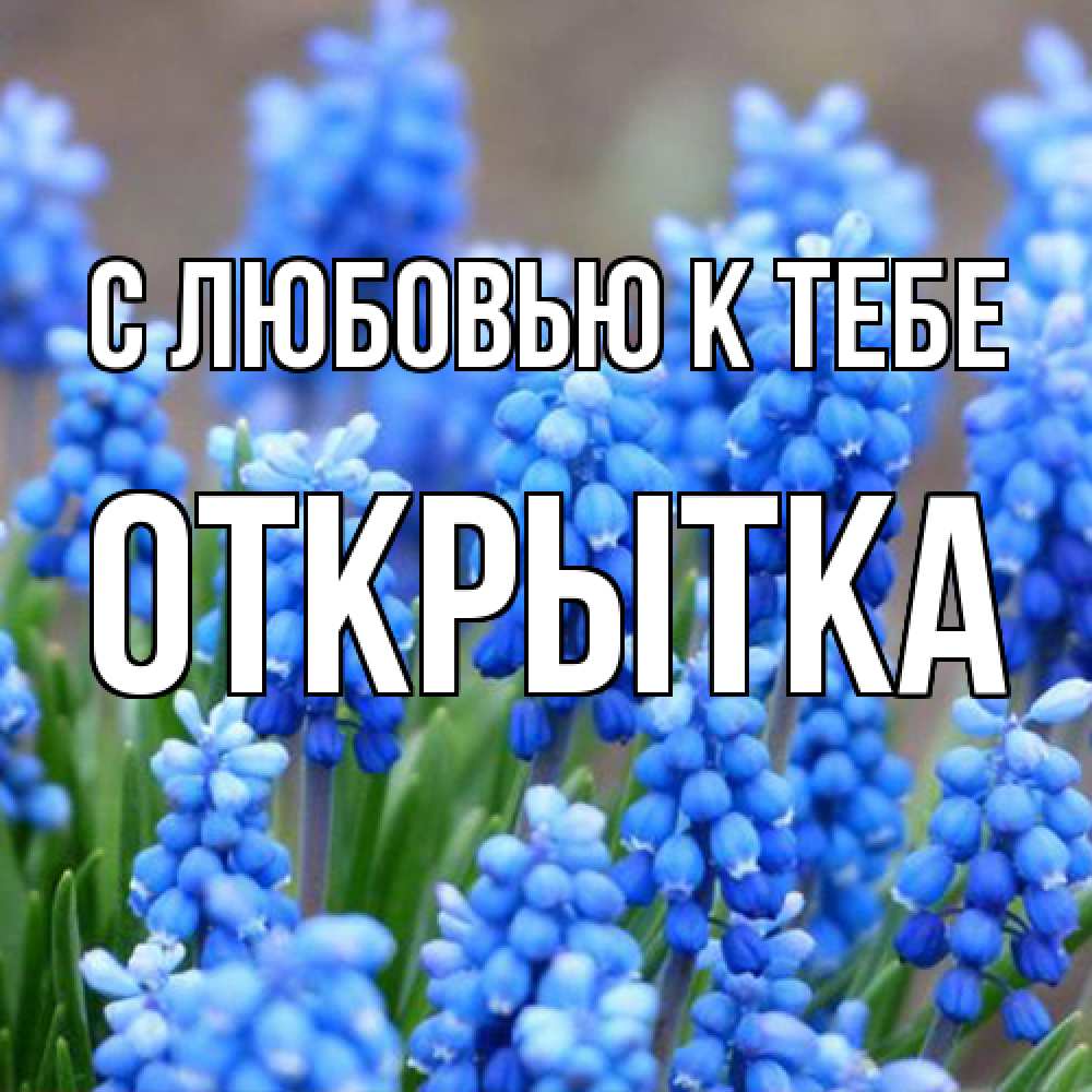 Открытка  с именем. открытка, С любовью к тебе  