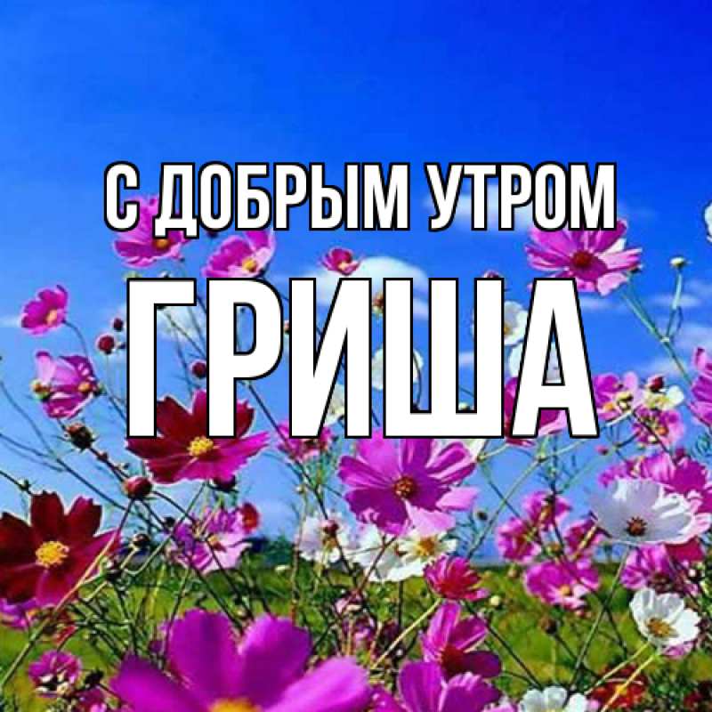 Картинка С добрым утром, Гриша