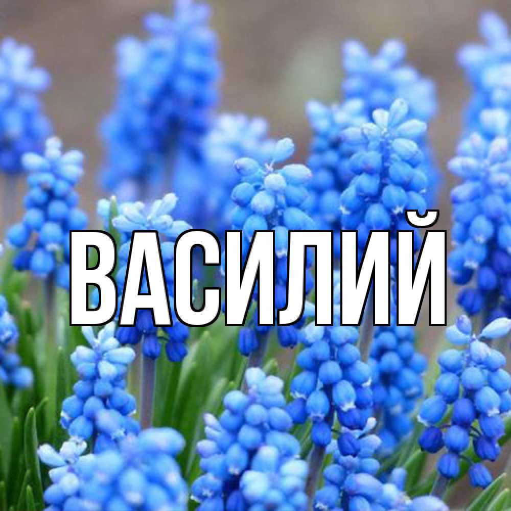 Открытка  с именем. Василий, Главная  