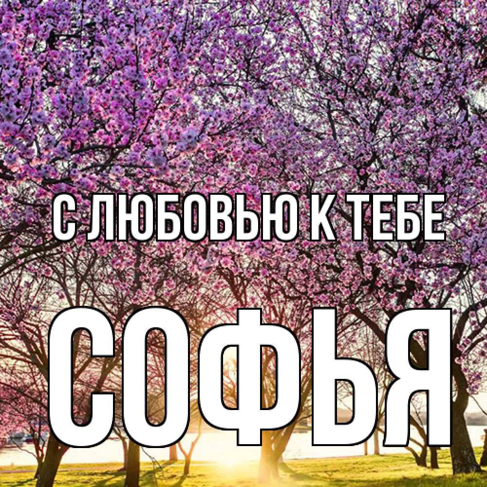 Открытка  с именем. Софья, С любовью к тебе  