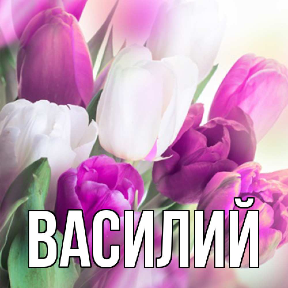 Открытка  с именем. Василий, Главная  