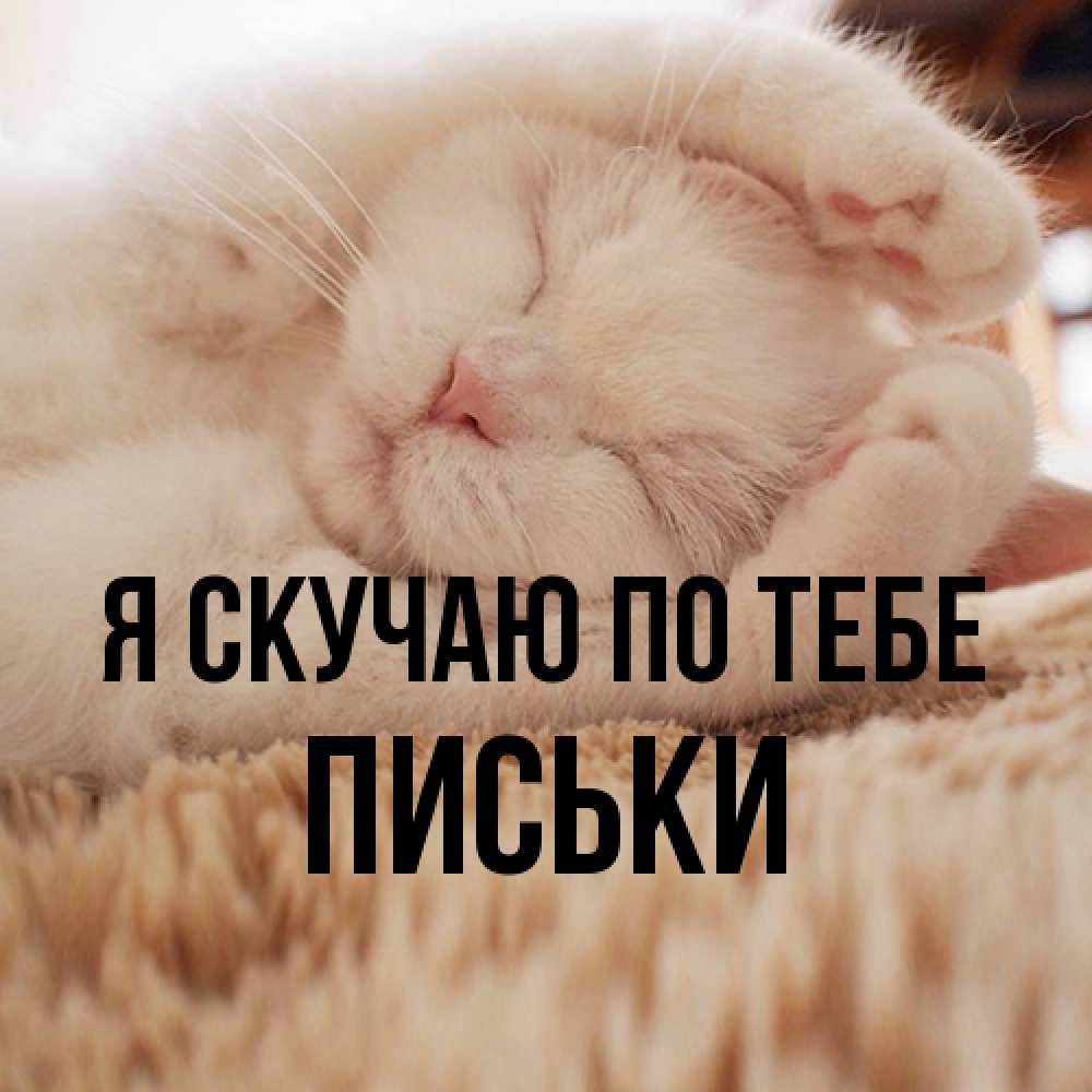 Открытка  с именем. Письки, Я скучаю по тебе  