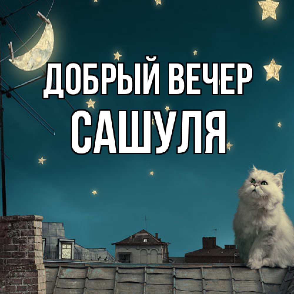 Открытка  с именем. Сашуля, Добрый вечер  