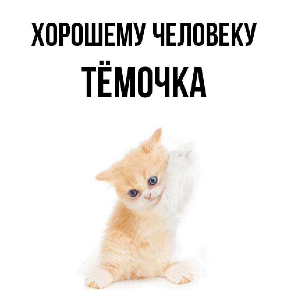 Открытка  с именем. Тёмочка, Хорошему человеку  