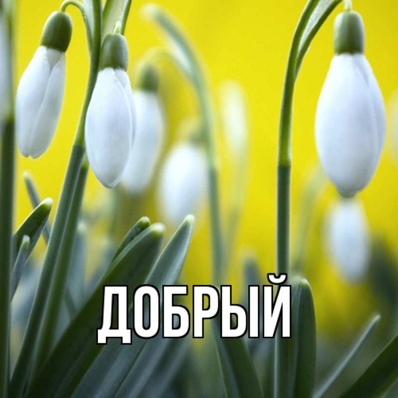 Картинка  с именем , Добрый