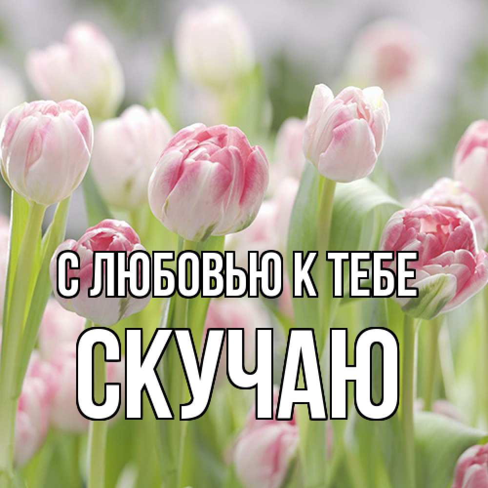 Открытка  с именем. Скучаю, С любовью к тебе  