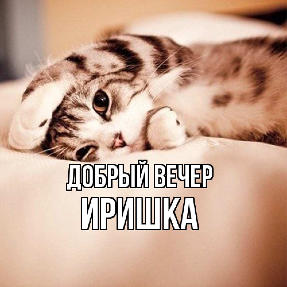 Открытка  с именем. Иришка, Добрый вечер  