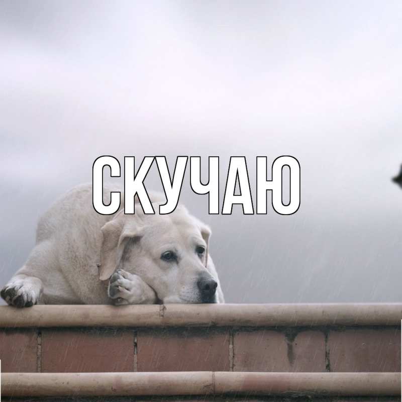 Картинка Скучаю, 