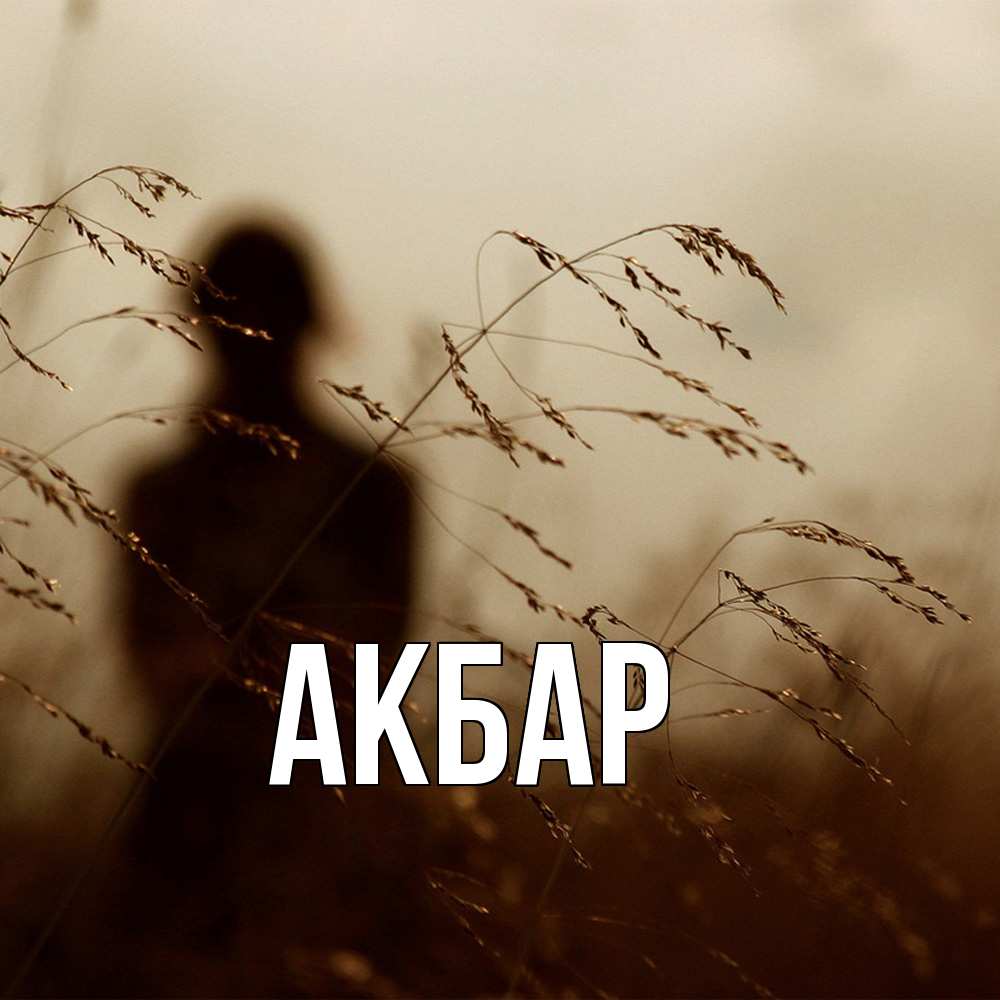 Открытка  с именем. Акбар, Главная  