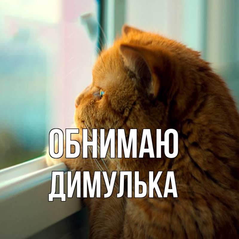 Открытка с именем, Димулька, Обнимаю