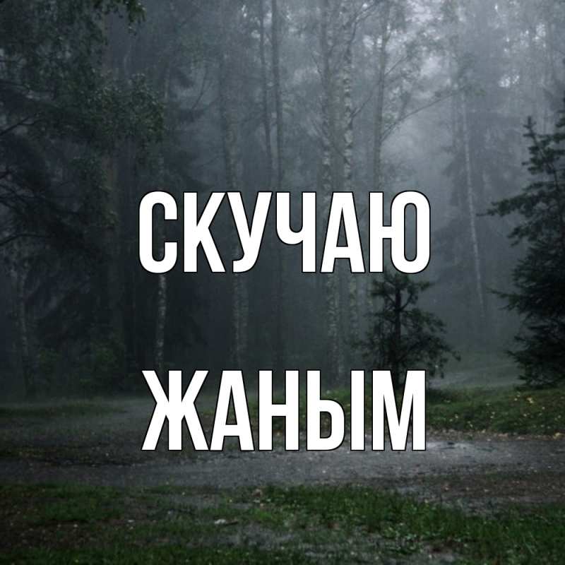 Картинка Скучаю, Жаным