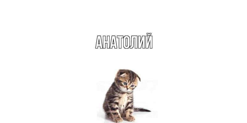 Картинка  с именем , Анатолий