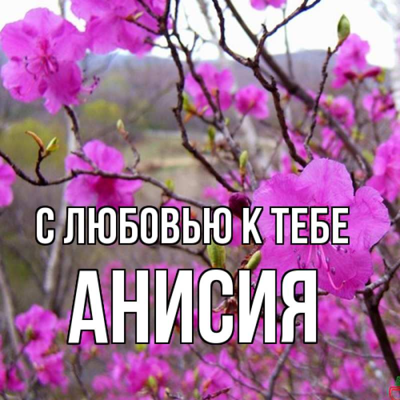 Картинка С любовью к тебе, Анисия