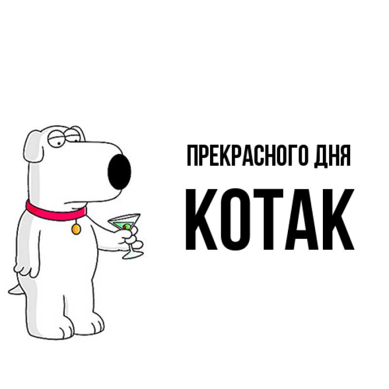 Картинка Прекрасного дня, КОТАК