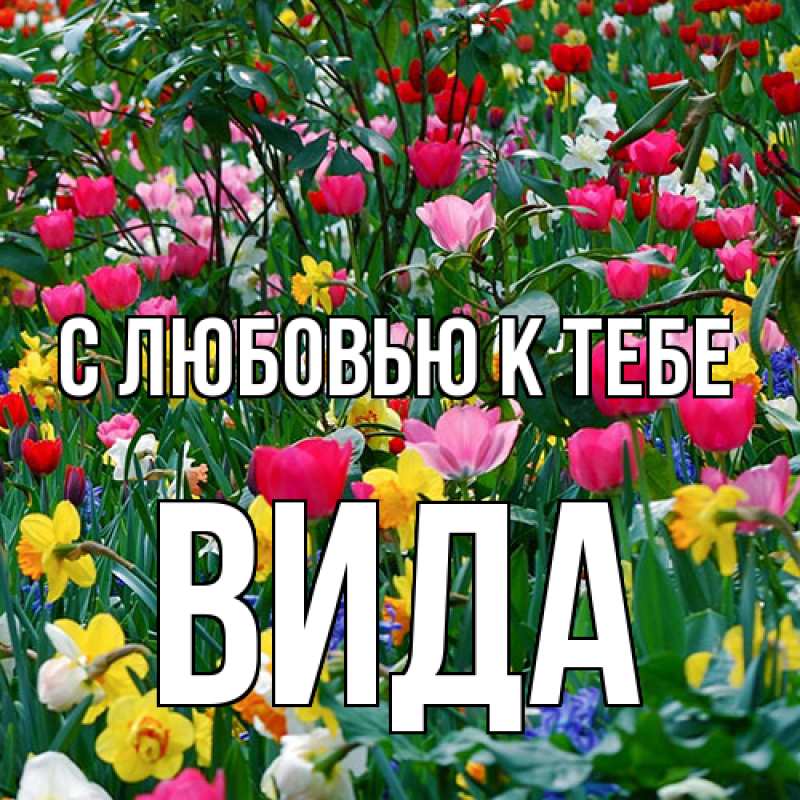 Картинка С любовью к тебе, Вида