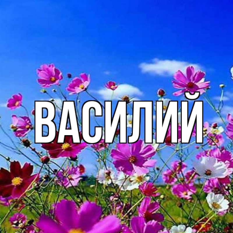 Картинка  с именем , Василий