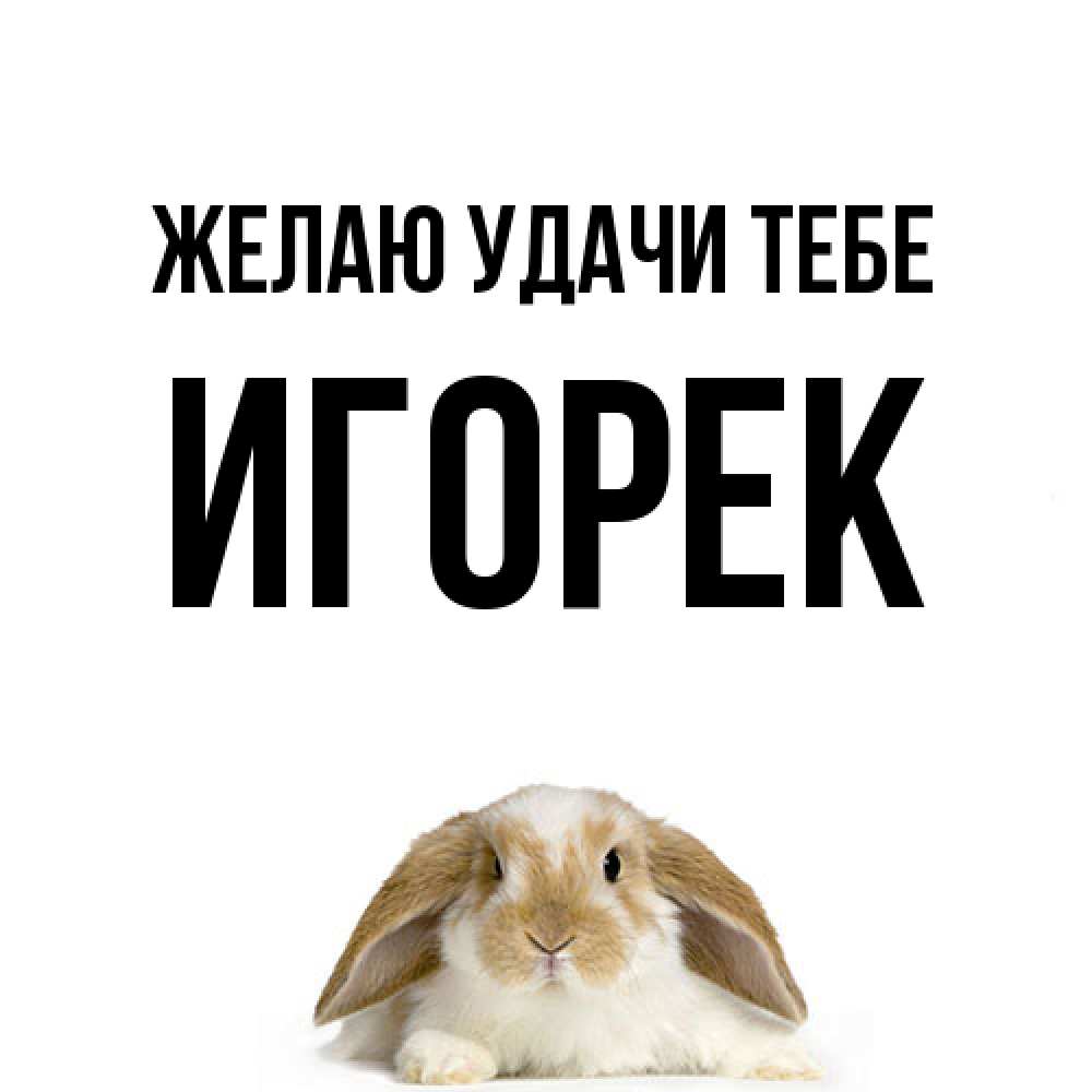 Открытка  с именем. Игорек, Желаю удачи тебе  