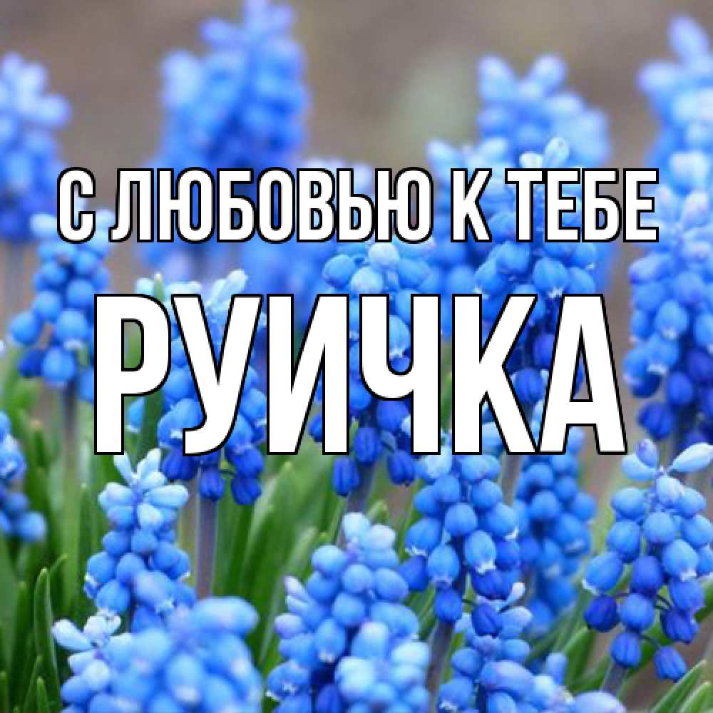 Открытка  с именем. Руичка, С любовью к тебе  