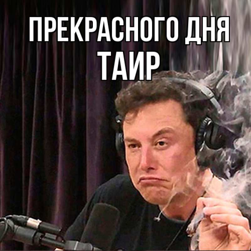 Картинка Прекрасного дня, Таир