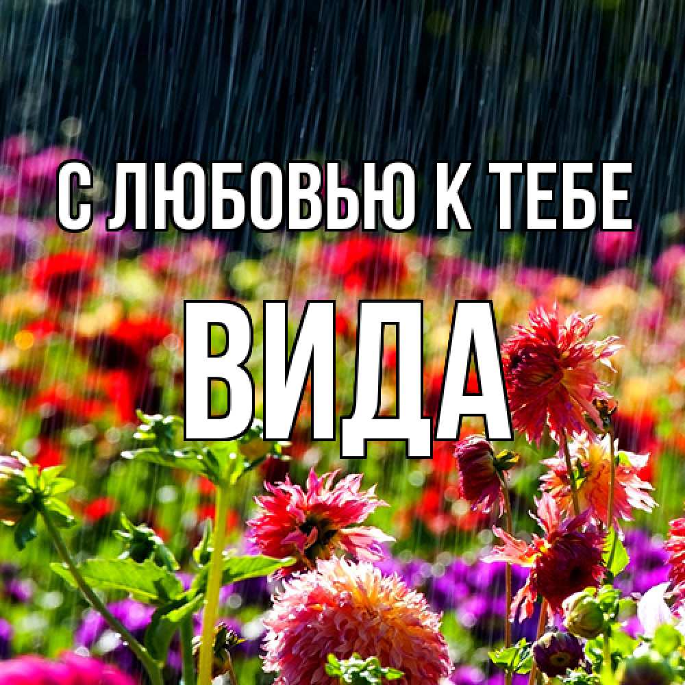 Открытка  с именем. Вида, С любовью к тебе  