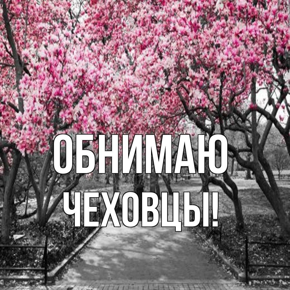 Открытка  с именем. Чеховцы, Обнимаю  