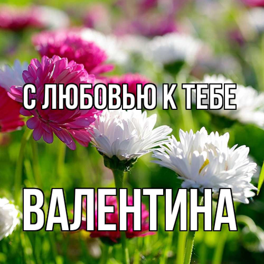 Открытка  с именем. валентина, С любовью к тебе  