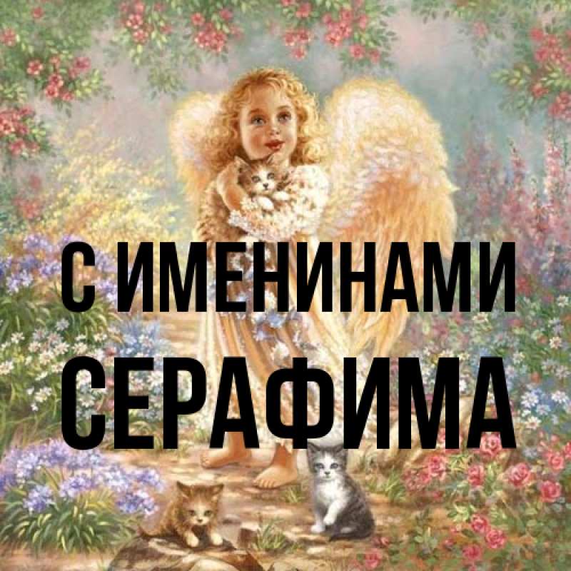 Картинка С именинами, Серафима