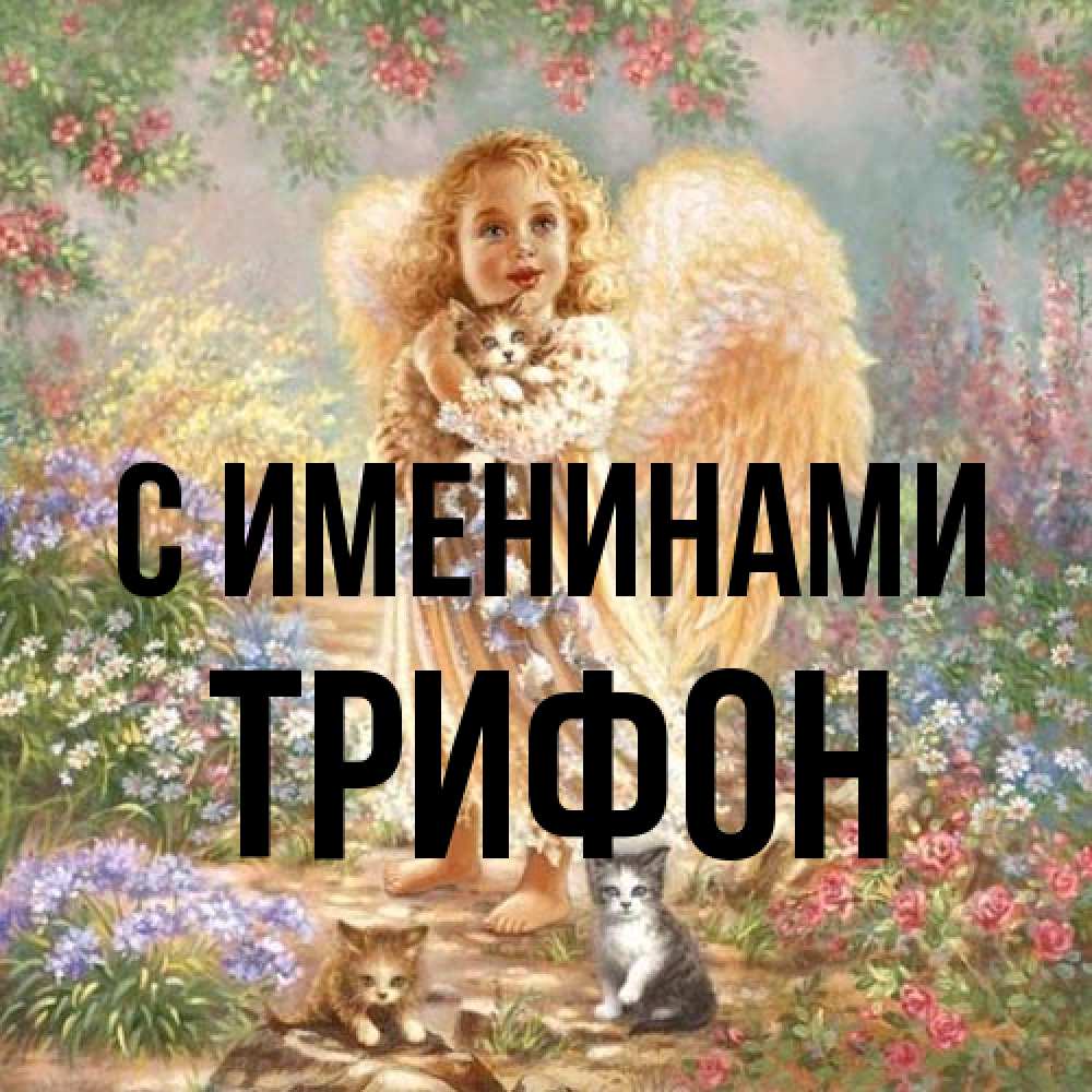 Открытка  с именем. Трифон, С именинами  