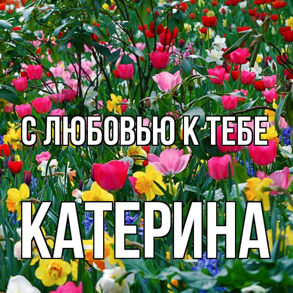 Открытка  с именем. Катерина, С любовью к тебе  