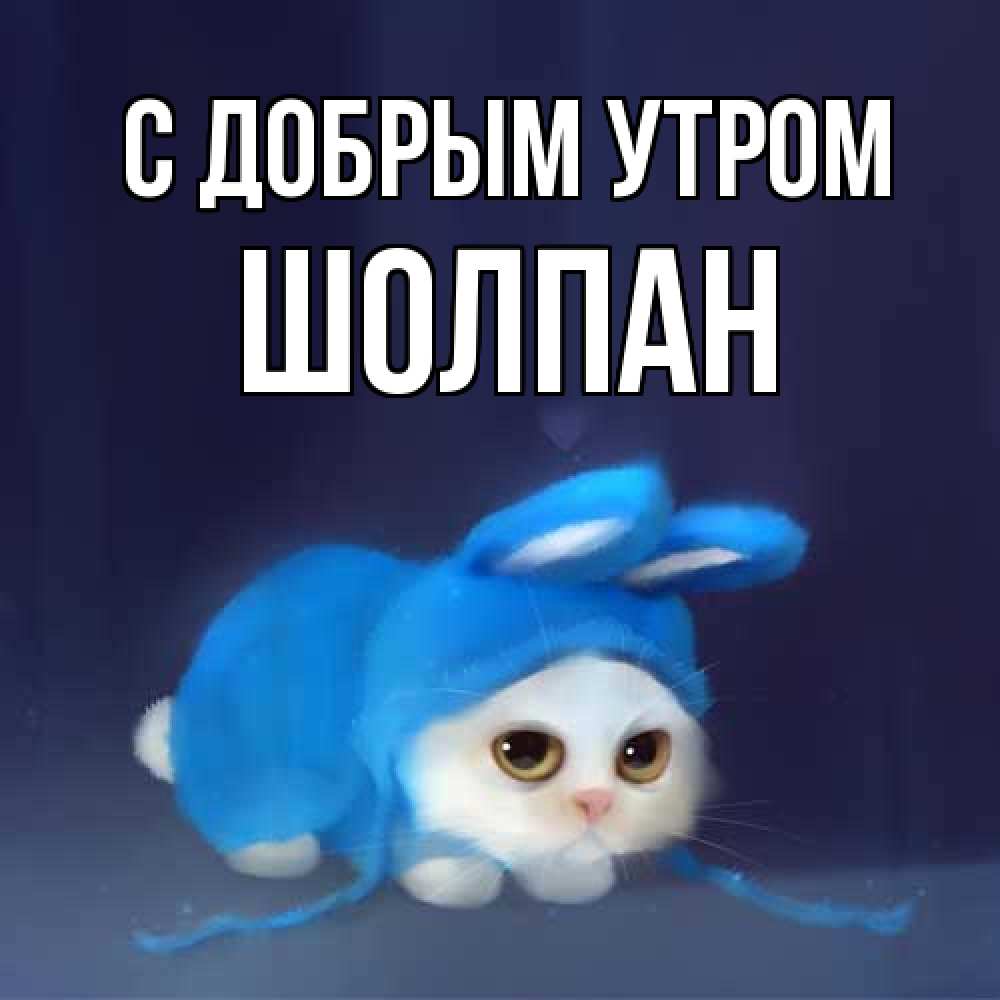 Открытка  с именем. Шолпан, С добрым утром  