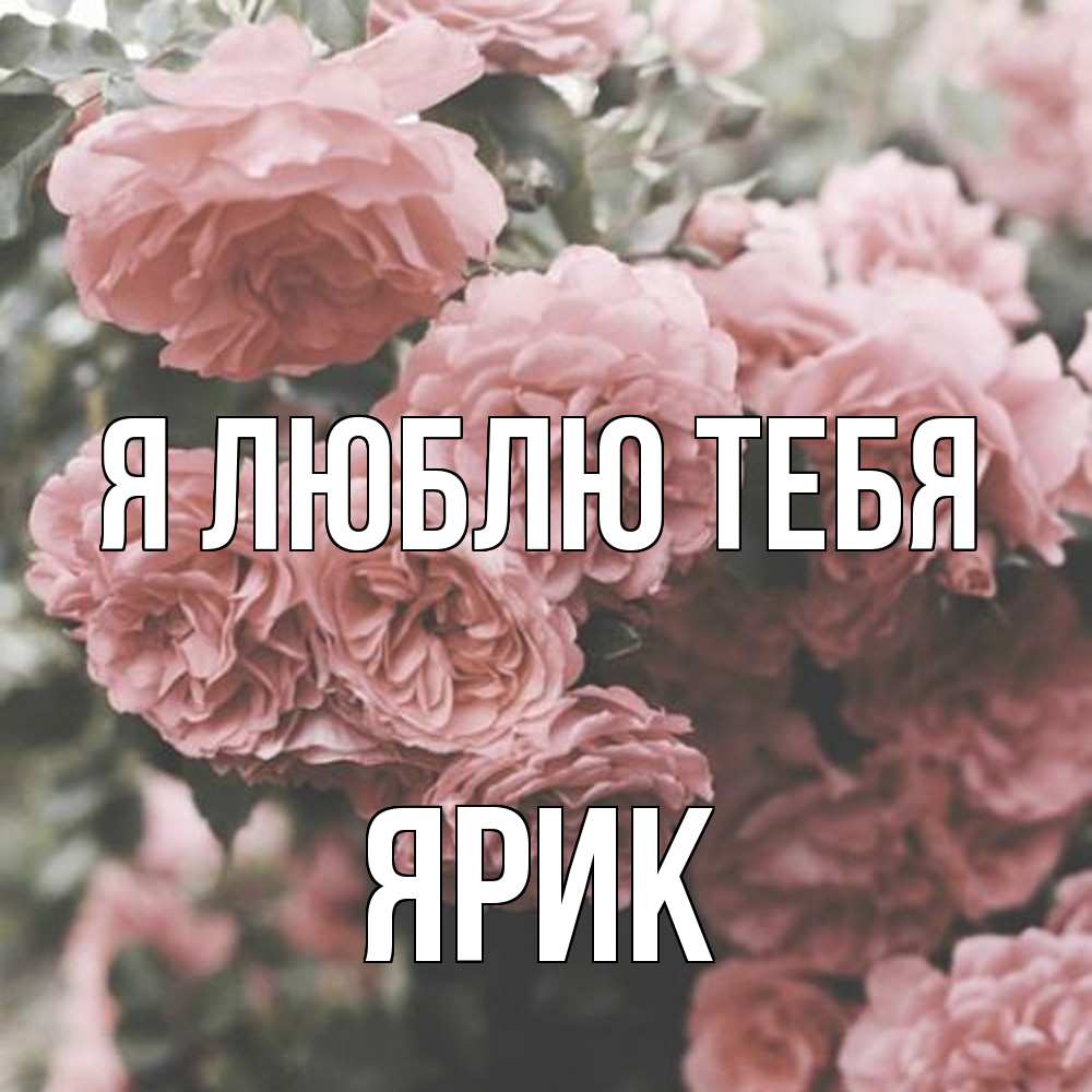 Открытка  с именем. Ярик, Я люблю тебя  