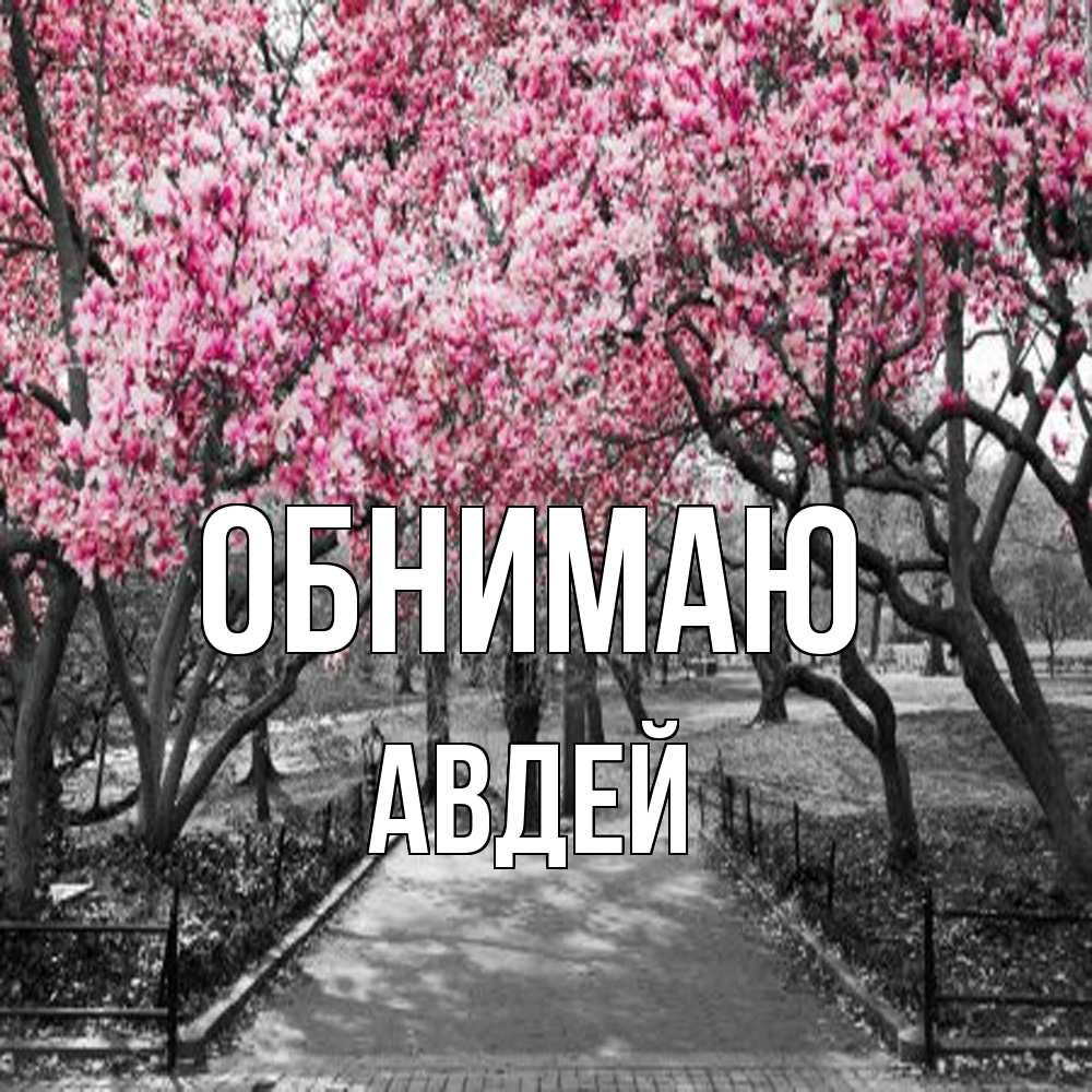 Открытка  с именем. Авдей, Обнимаю  