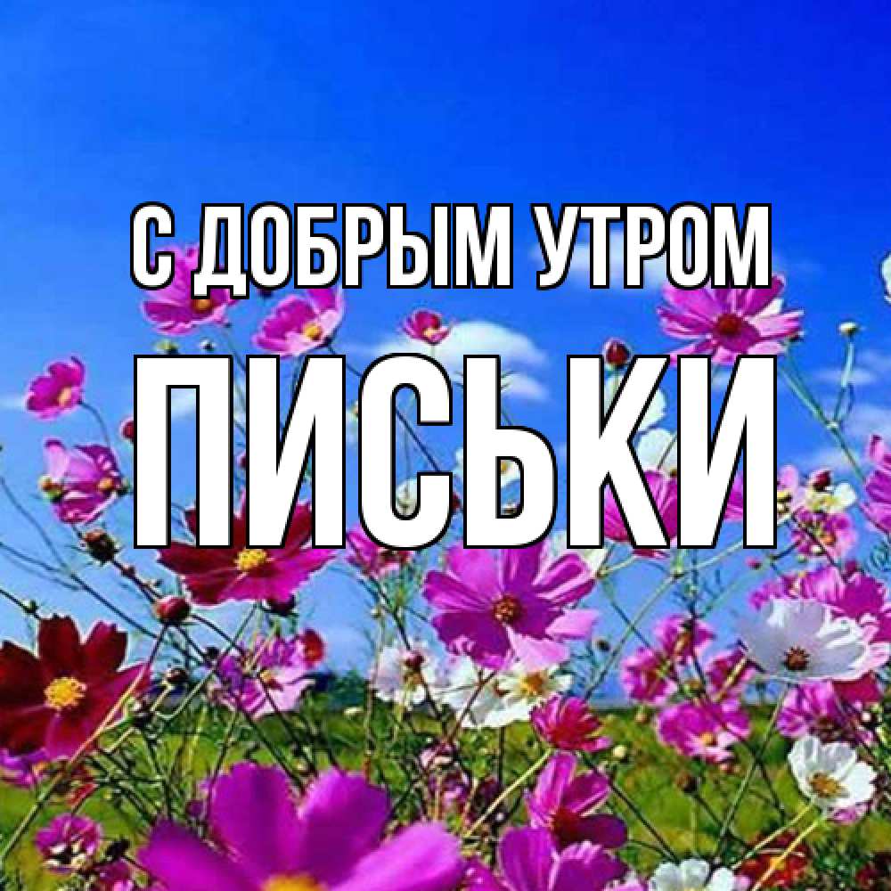 Открытка  с именем. Письки, С добрым утром  