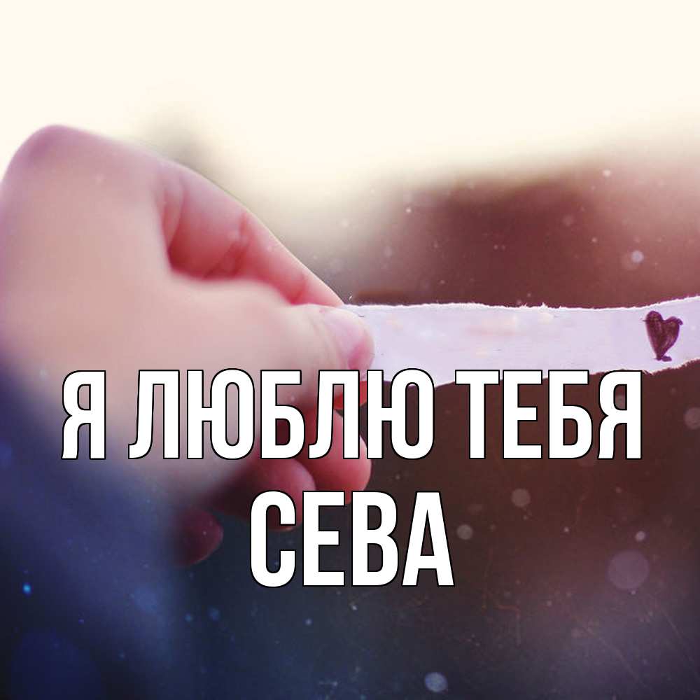 Открытка  с именем. Сева, Я люблю тебя  