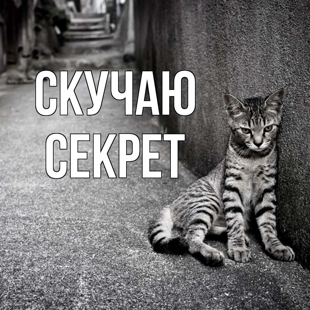 Открытка  с именем. Секрет, Скучаю  