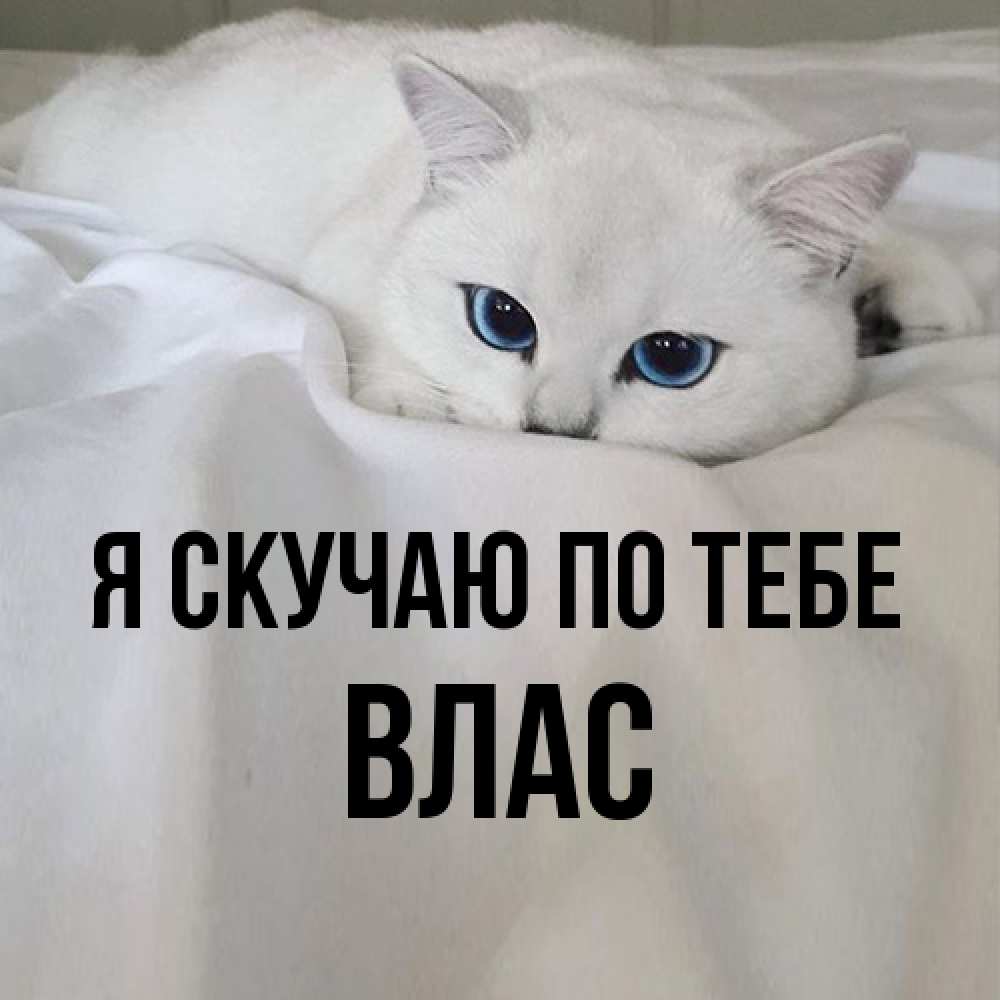 Открытка  с именем. Влас, Я скучаю по тебе  