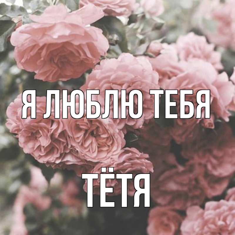 Картинка Я люблю тебя, Тётя