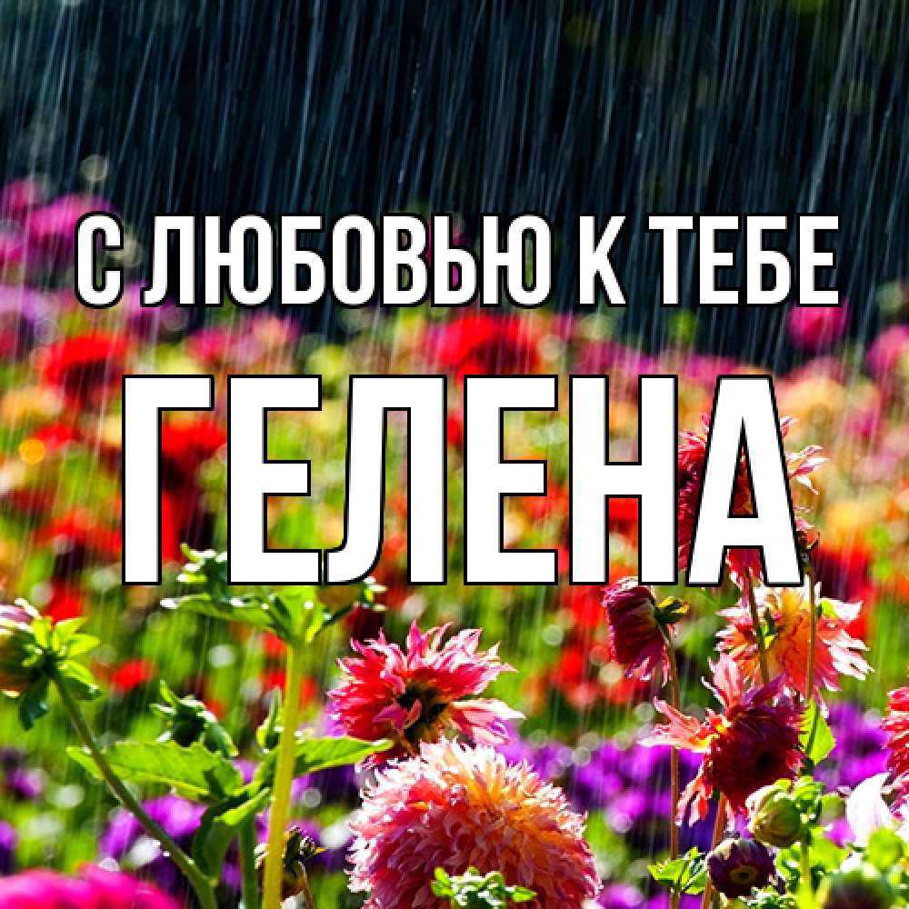 Открытка  с именем. Гелена, С любовью к тебе  