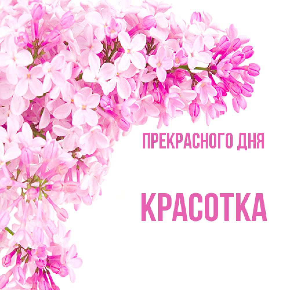 Открытка  с именем. Красотка, Прекрасного дня  
