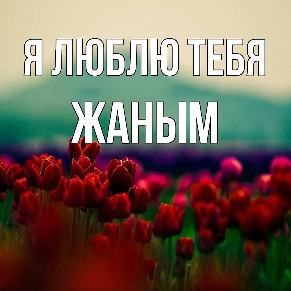 Открытка  с именем. Жаным, Я люблю тебя  