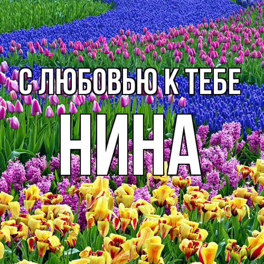 Открытка  с именем. Нина, С любовью к тебе  