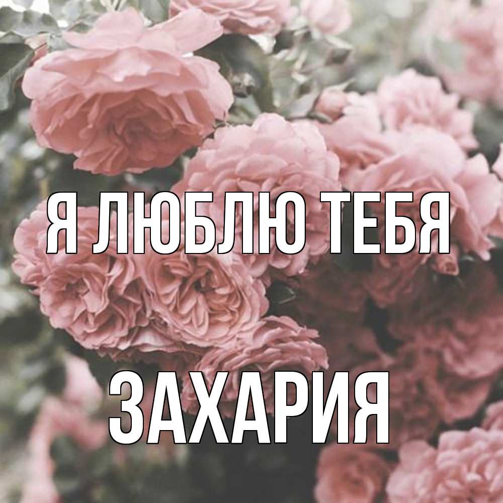 Открытка  с именем. Захария, Я люблю тебя  