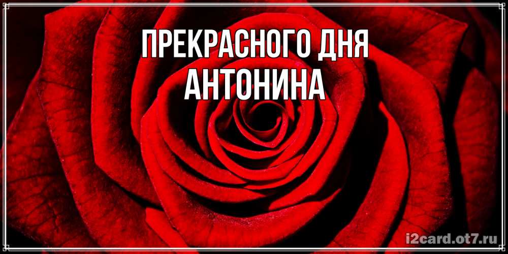 Открытка  с именем. Антонина, Прекрасного дня  