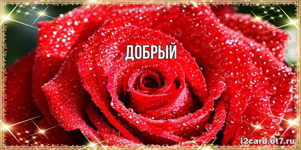 Открытка  с именем. Добрый, Главная  