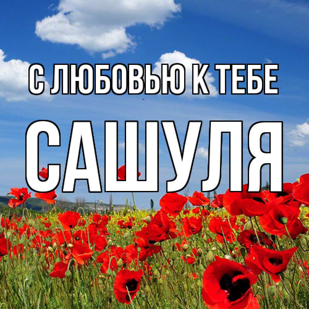 Открытка  с именем. Сашуля, С любовью к тебе  