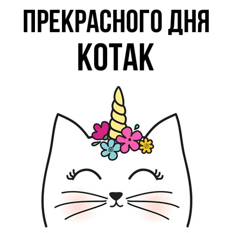 Картинка Прекрасного дня, КОТАК