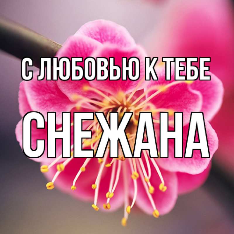 Картинка С любовью к тебе, Снежана