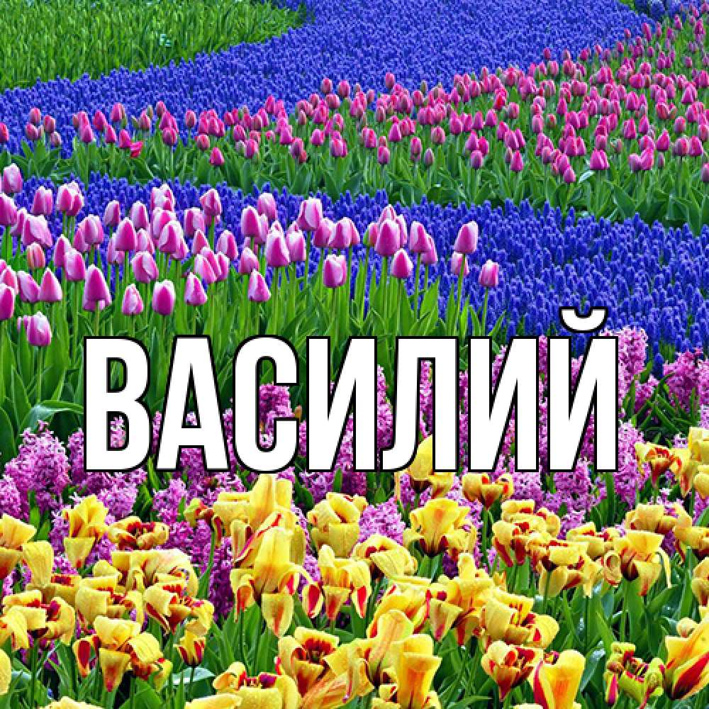 Открытка  с именем. Василий, Главная  