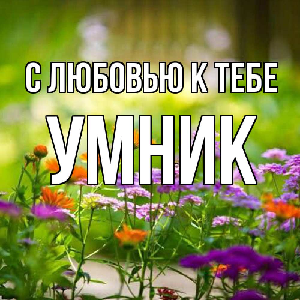 Открытка  с именем. Умник, С любовью к тебе  